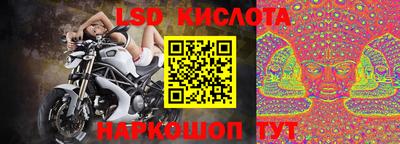 СК Обнинск