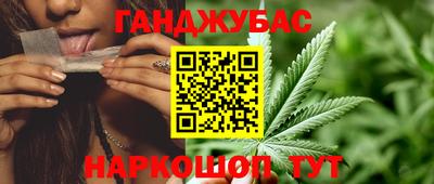 прущие грибы Обь