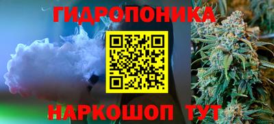 прущие грибы Обь