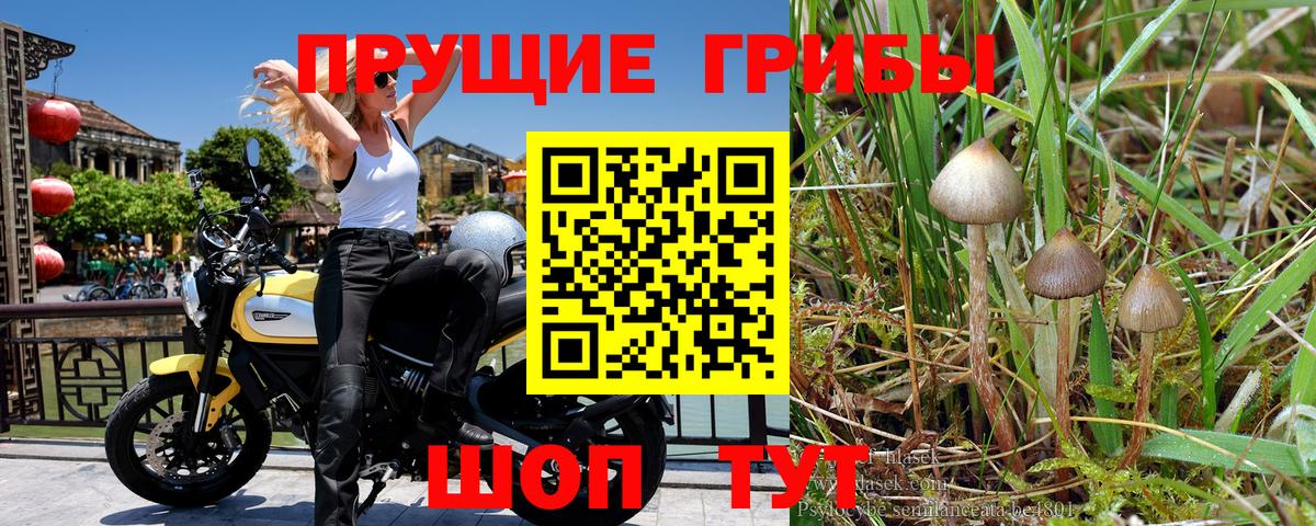 Марихуана  Вход с VPN  Белая Калитва  МДМА  ГАШИШ  Меф МЯУ МЯУ  