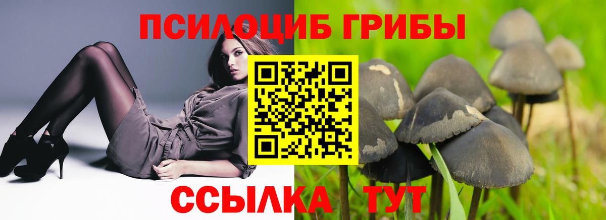 Галлюциногенные грибы Magic Shrooms  Вход с VPN  Галлюциногенные грибы ЛСД  Белая Калитва 
